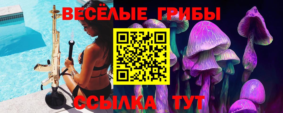Галлюциногенные грибы Cubensis  Вход с VPN  Кандалакша 