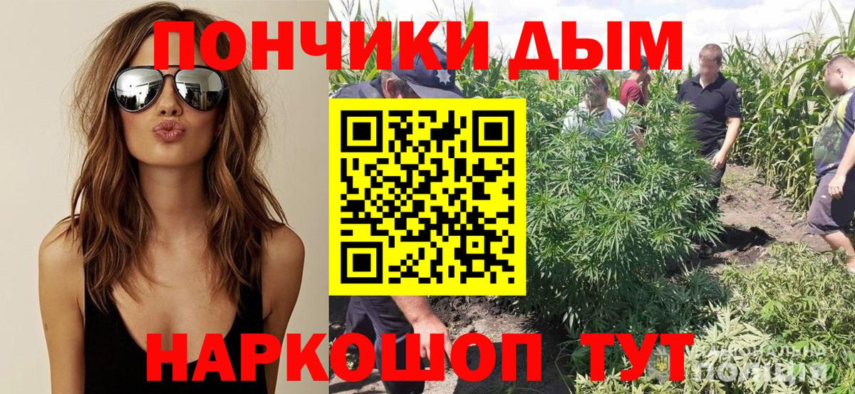 Шишки марихуана Amnesia  Конопля тримм  Кандалакша  Канабис Bruce Banner  Вход с VPN 